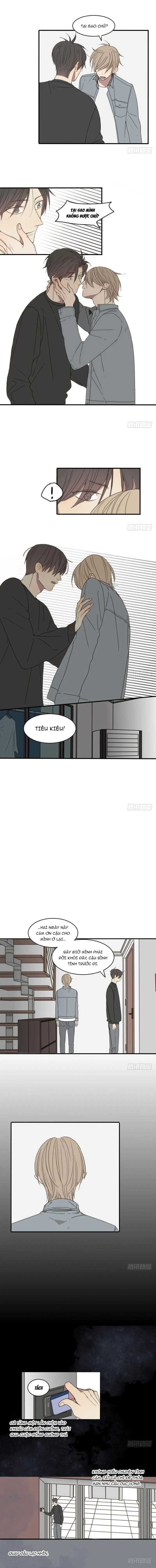 Sắc Thái Trầm Lặng Chapter 16 Trang 4