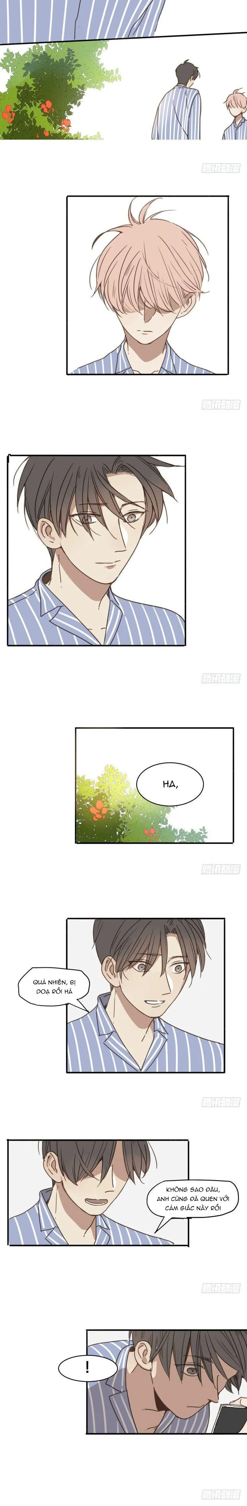 Sắc Thái Trầm Lặng Chapter 19 Trang 4