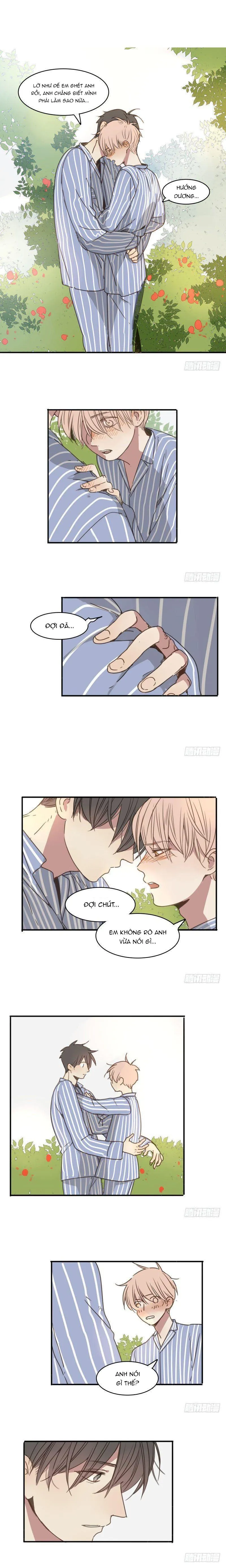 Sắc Thái Trầm Lặng Chapter 19 Trang 7