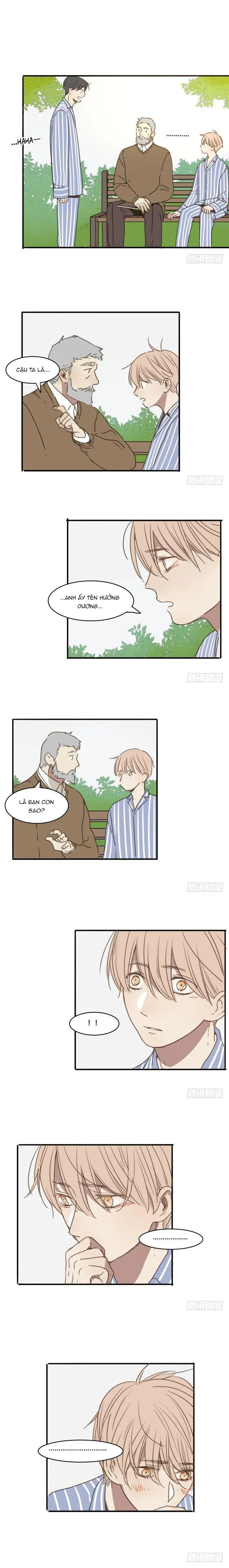 Sắc Thái Trầm Lặng Chapter 20 Trang 6