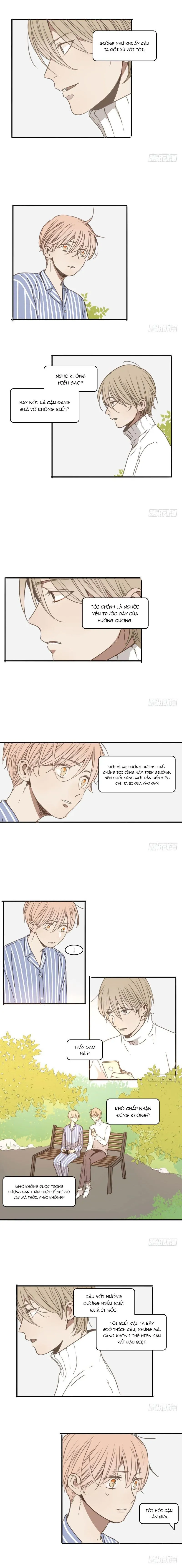 Sắc Thái Trầm Lặng Chapter 22 Trang 6