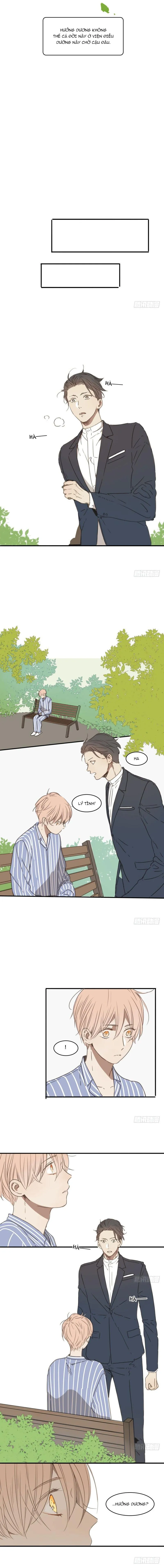 Sắc Thái Trầm Lặng Chapter 22 Trang 8