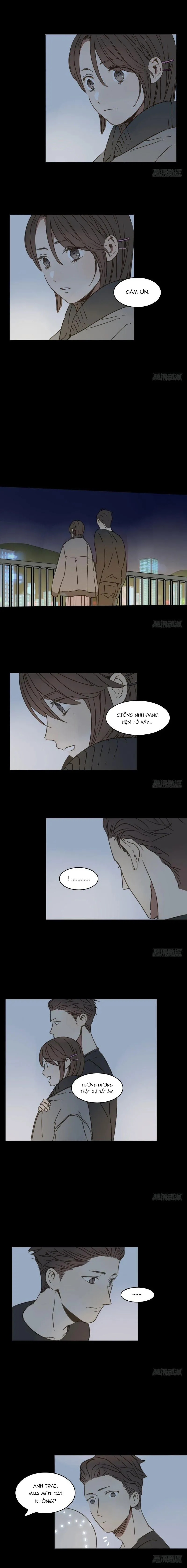 Sắc Thái Trầm Lặng Chapter 24 Trang 5