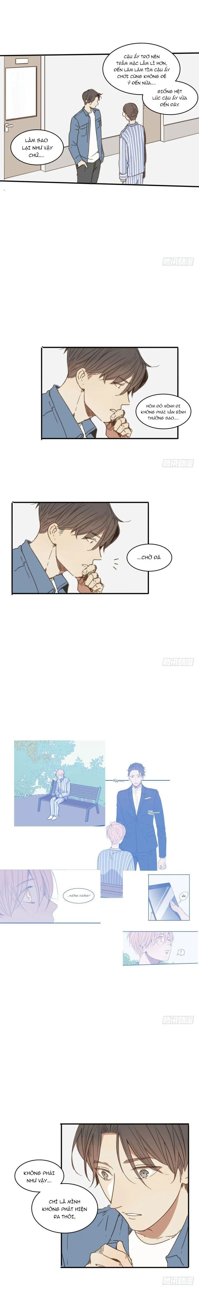 Sắc Thái Trầm Lặng Chapter 26 Trang 8