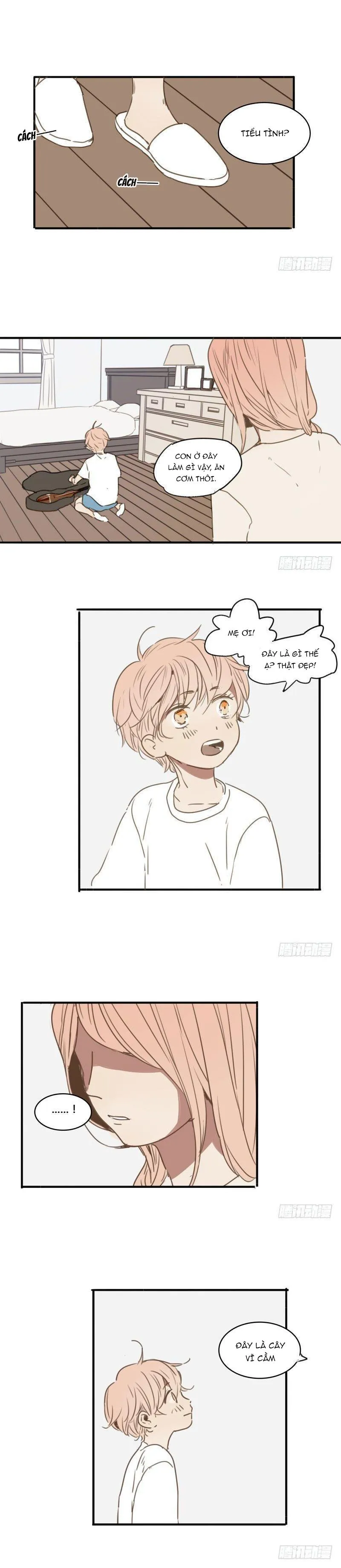 Sắc Thái Trầm Lặng Chapter 27 Trang 5