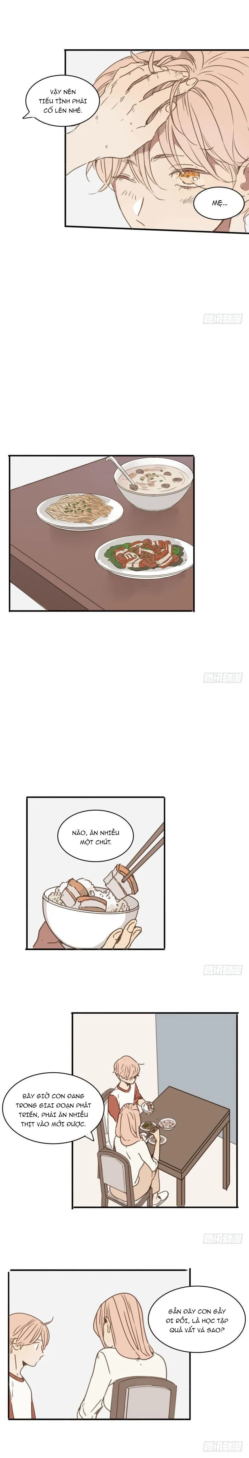 Sắc Thái Trầm Lặng Chapter 27 Trang 9