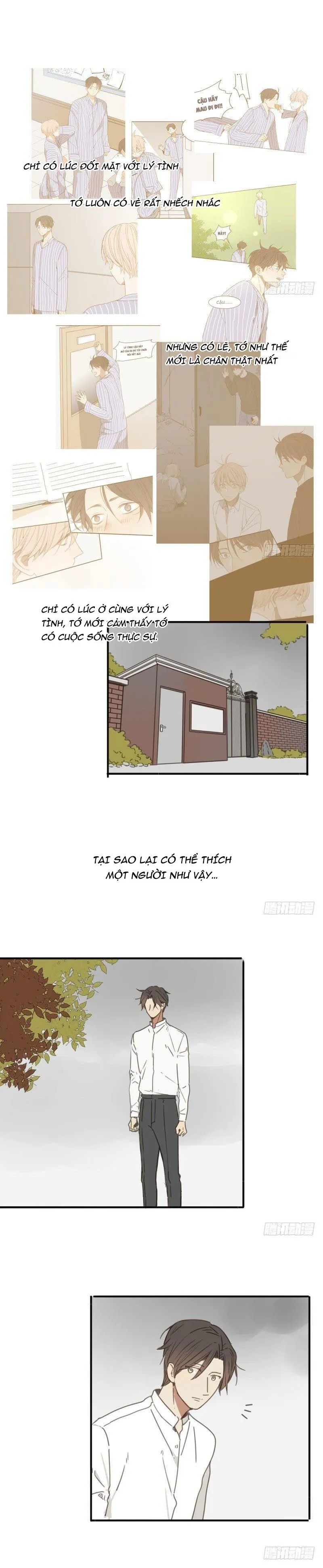 Sắc Thái Trầm Lặng Chapter 28 Trang 9