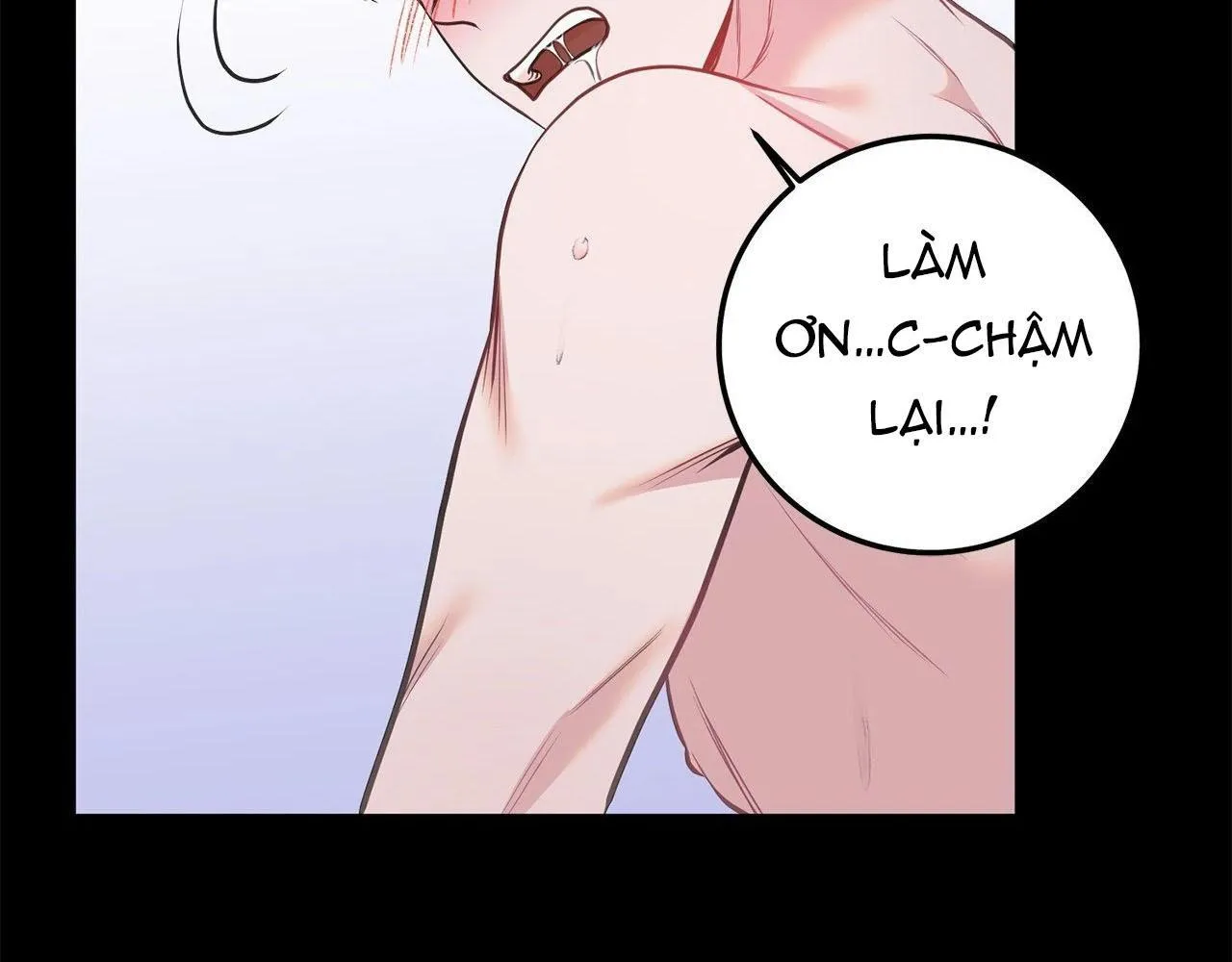 Sạch Đến Từng Tấc Thịt Chapter 1 Trang 175