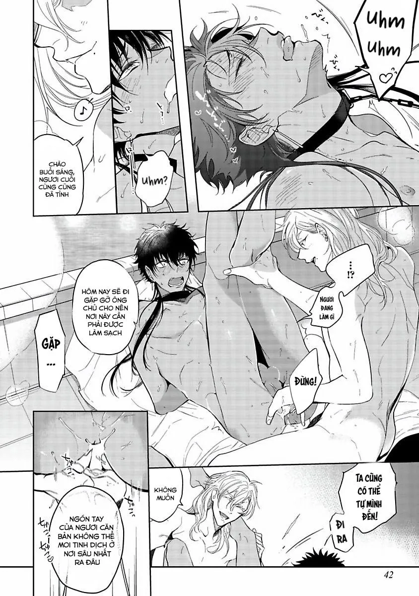 Sahara no kuro washi Chapter 2 Trang 8