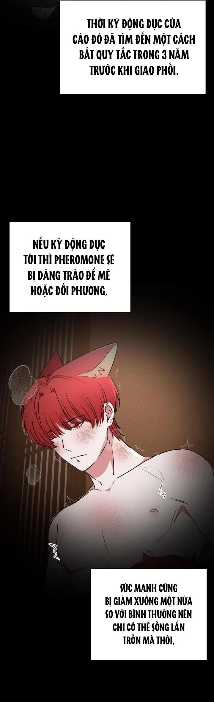 SĂN CÁO Chapter 3 Trang 36