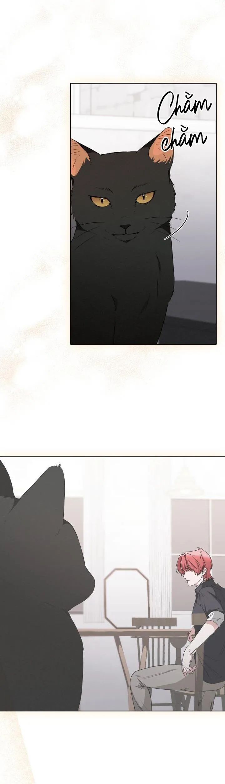 SĂN CÁO Chapter 7 Trang 27