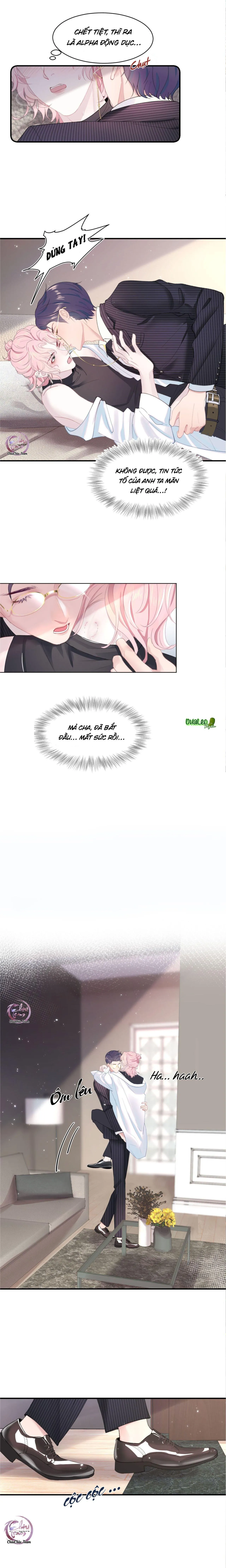 Săn Đuổi Người Thương Chapter 1 Trang 6