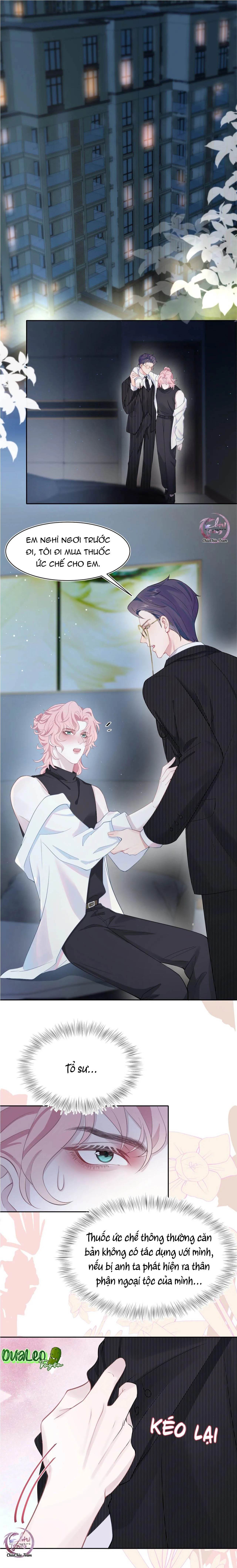 Săn Đuổi Người Thương Chapter 5 Trang 3