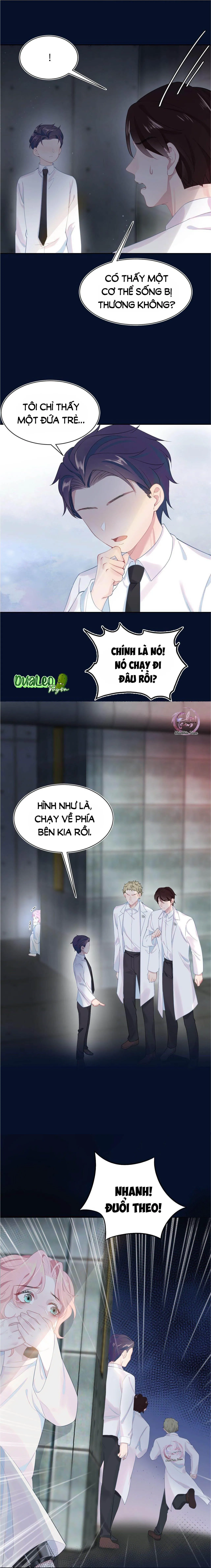 Săn Đuổi Người Thương Chapter 6 Trang 9