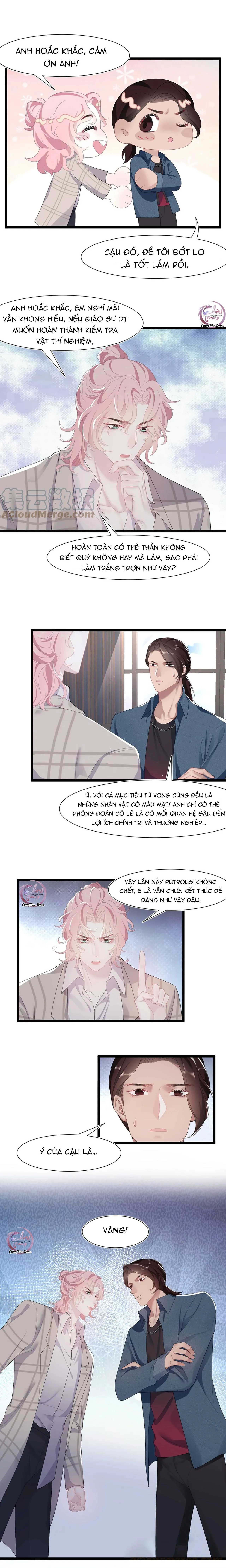 Săn Đuổi Người Thương Chapter 33 Trang 3