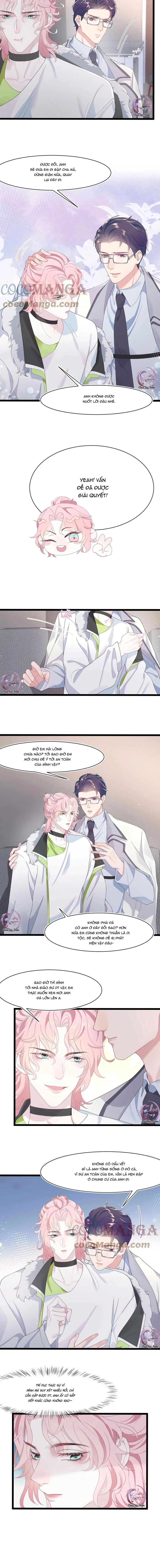 Săn Đuổi Người Thương Chapter 41 Trang 4