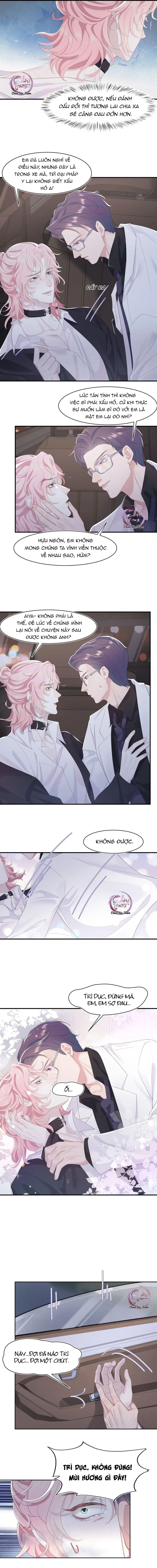 Săn Đuổi Người Thương Chapter 65 Trang 5