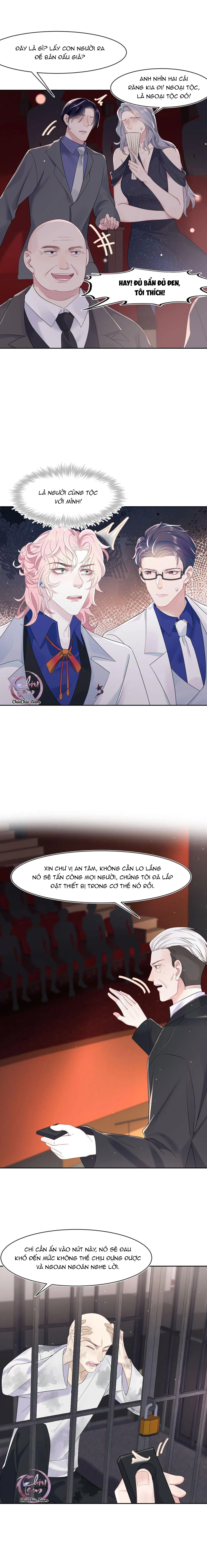 Săn Đuổi Người Thương Chapter 80 Trang 3