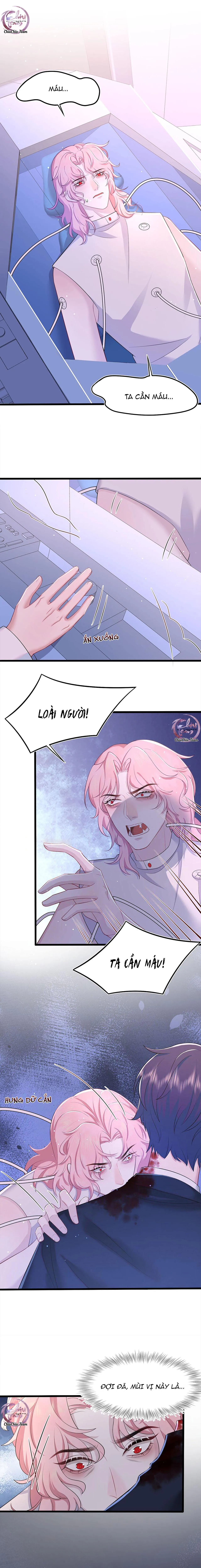 Săn Đuổi Người Thương Chapter 84 Trang 3