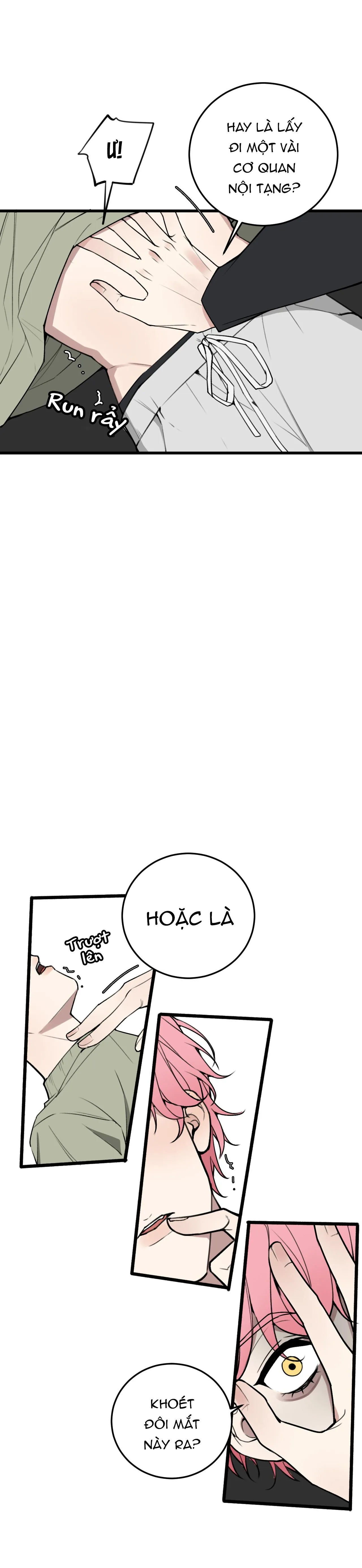 Sánh Vai Cùng Kẻ Phản Nghịch (END) Chapter 5 Trang 11