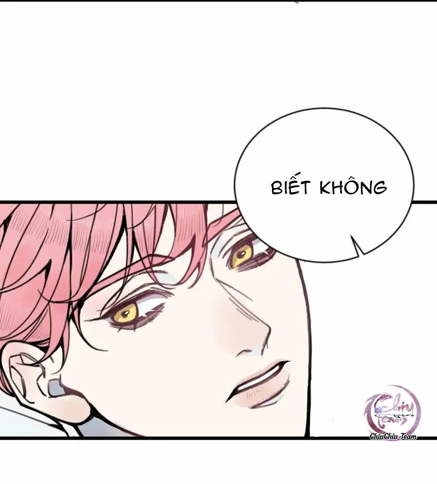 Sánh Vai Cùng Kẻ Phản Nghịch (END) Chapter 18 Trang 8