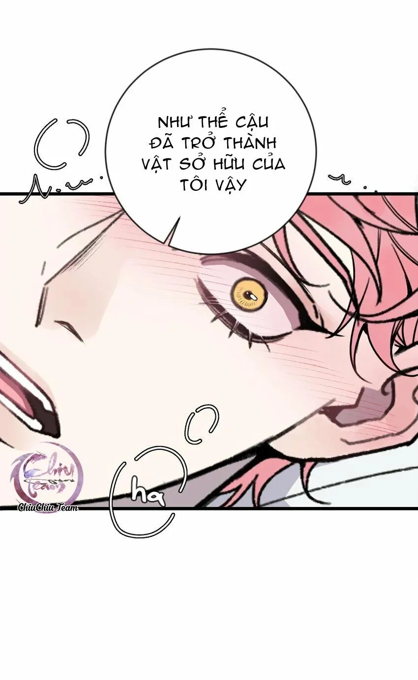 Sánh Vai Cùng Kẻ Phản Nghịch (END) Chapter 18 Trang 14