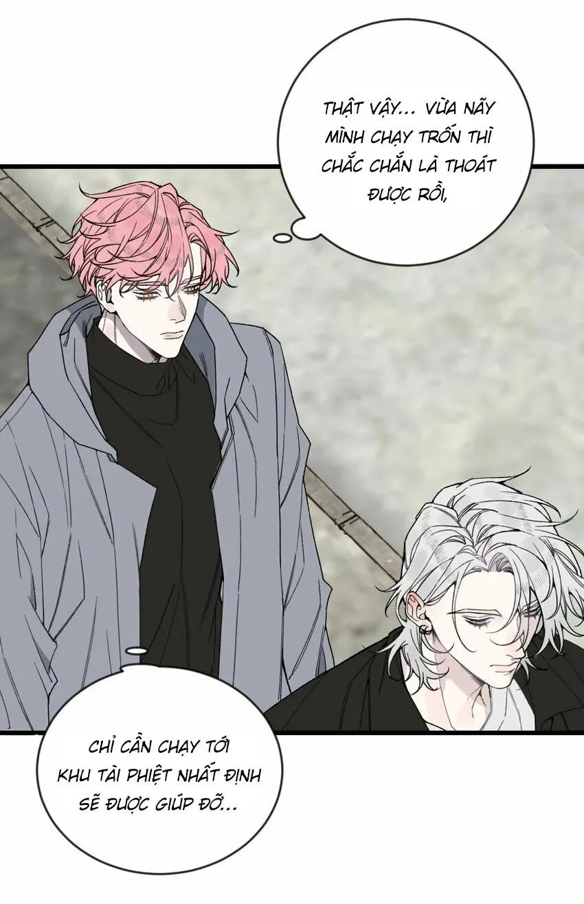 Sánh Vai Cùng Kẻ Phản Nghịch (END) Chapter 19 Trang 20