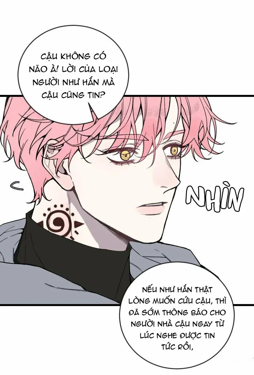 Sánh Vai Cùng Kẻ Phản Nghịch (END) Chapter 20 Trang 13