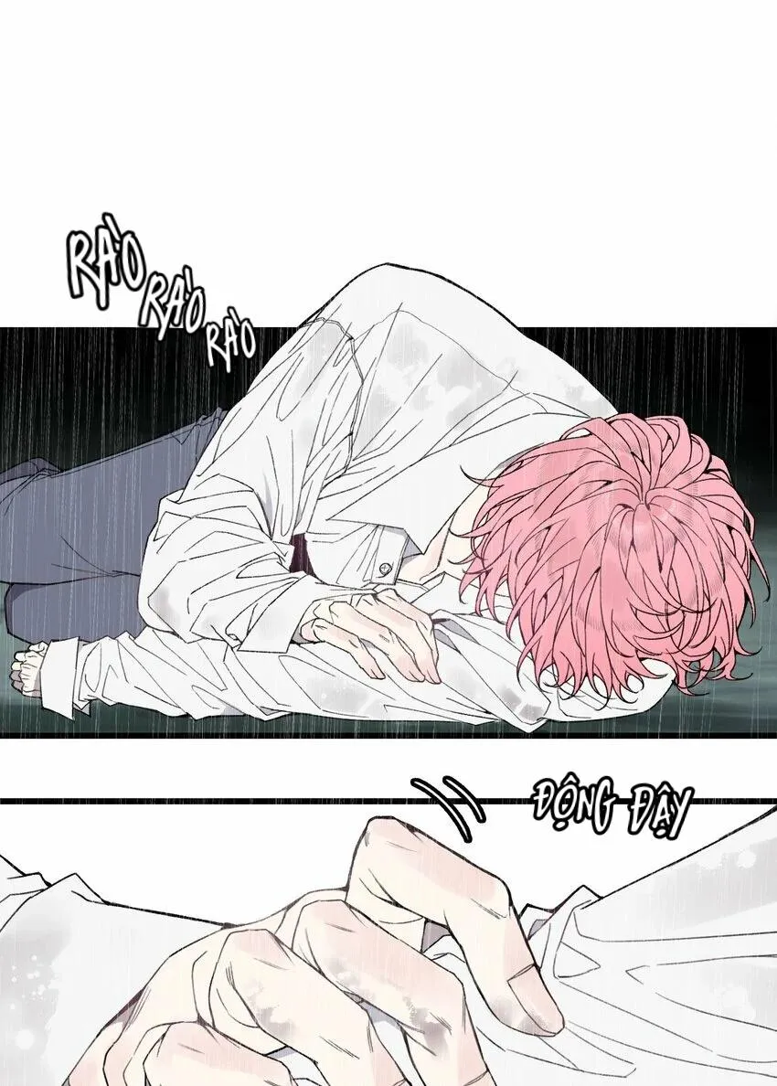 Sánh Vai Cùng Kẻ Phản Nghịch (END) Chapter 24 Trang 3