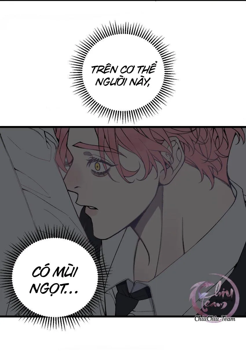 Sánh Vai Cùng Kẻ Phản Nghịch (END) Chapter 29 Trang 19