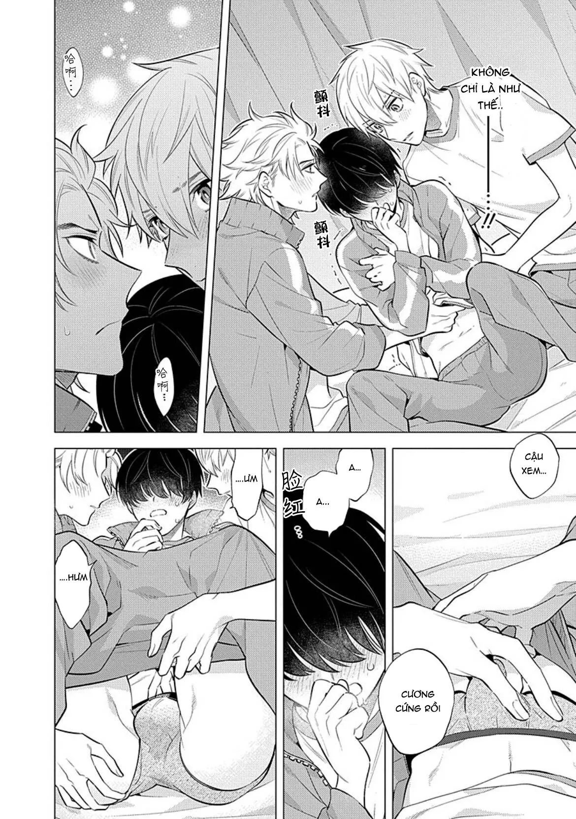 Sao bọn họ lại thích một người u ám như tôi chứ?! Chapter 1 Trang 26