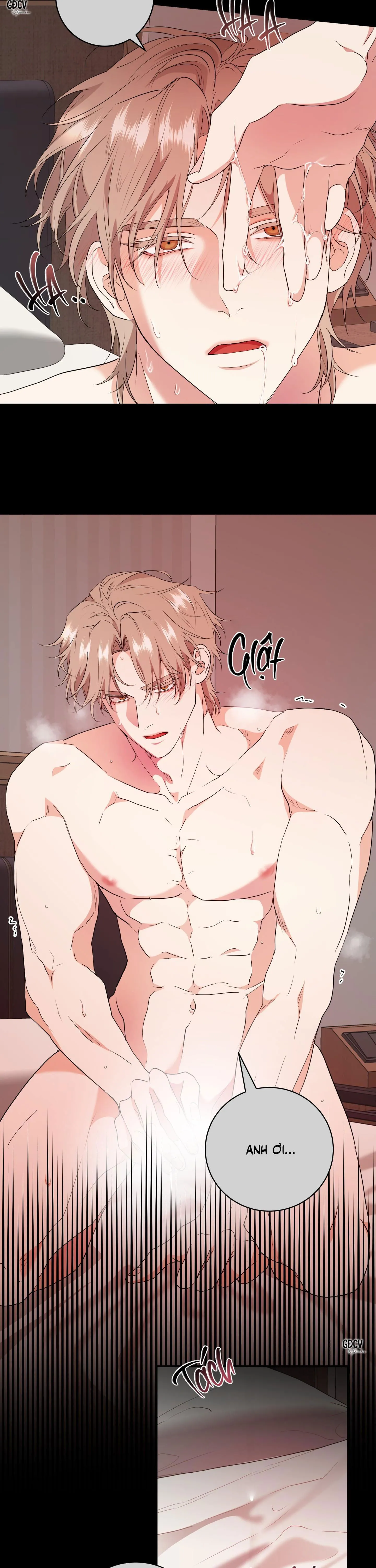 SÁT THỦ TRINH TIẾT Chapter 2 Trang 24