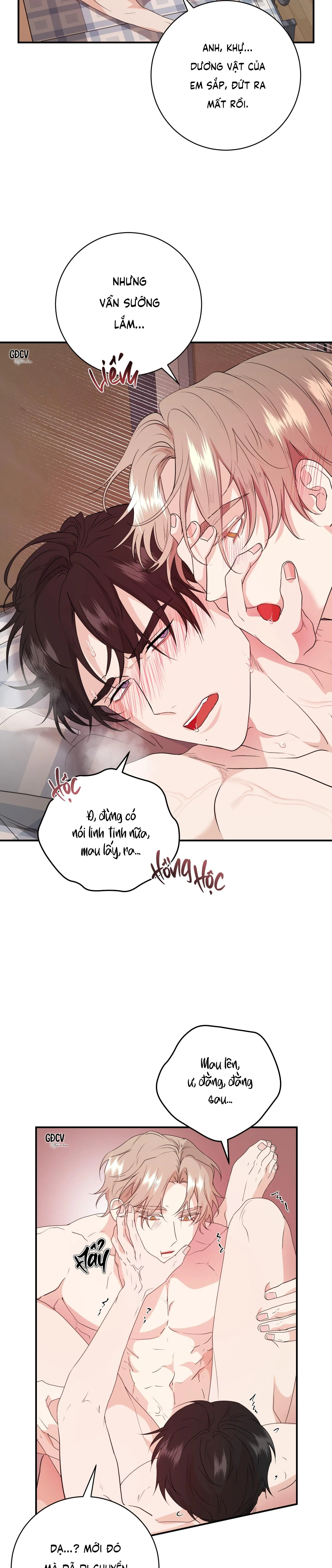 SÁT THỦ TRINH TIẾT Chapter 4 Trang 17