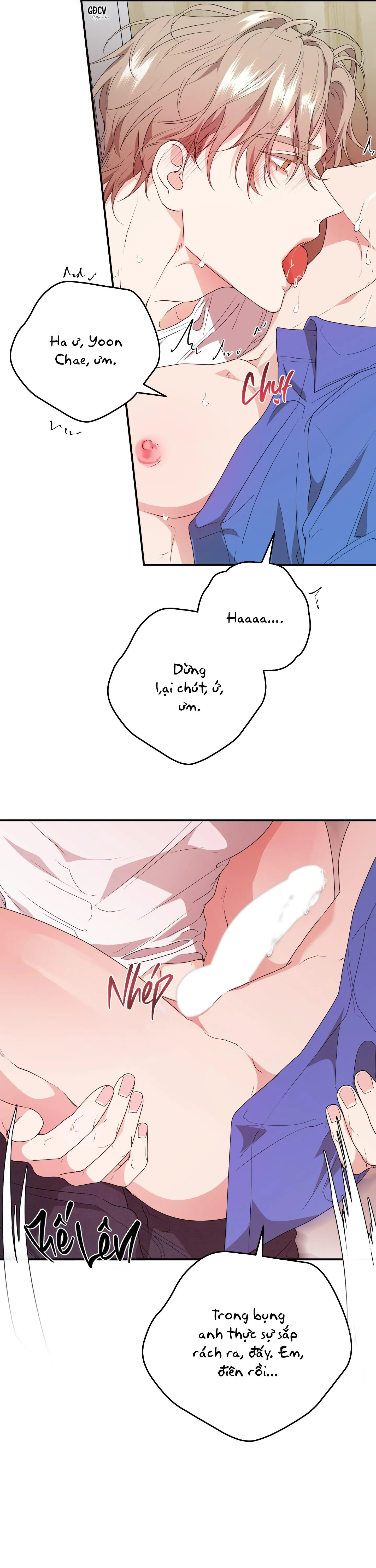 SÁT THỦ TRINH TIẾT Chapter 6 Trang 13