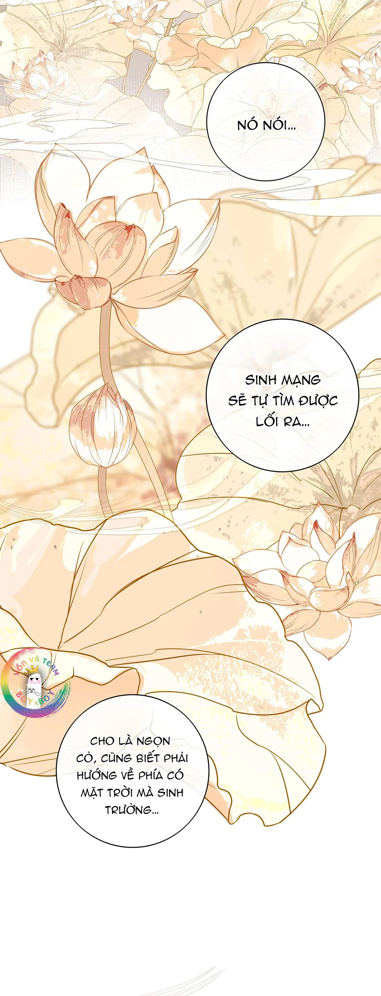 Sau Khi Chết Ta Trở Thành Nốt Chu Sa Của Ca Ca Chapter 58 Trang 19