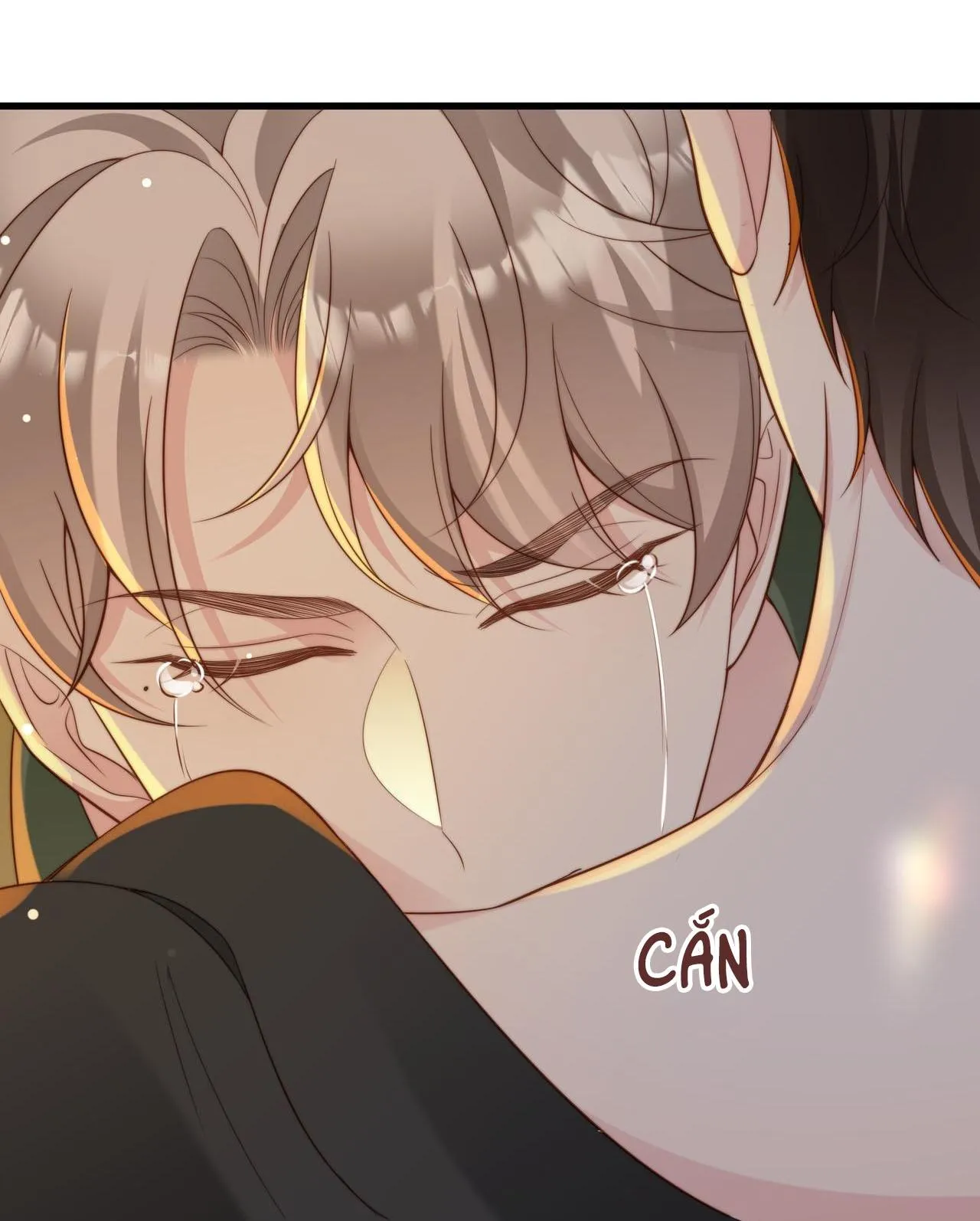 Sau khi giả mất trí nhớ, tình địch nói tôi là bạn trai của hắn Chapter 49 Trang 11