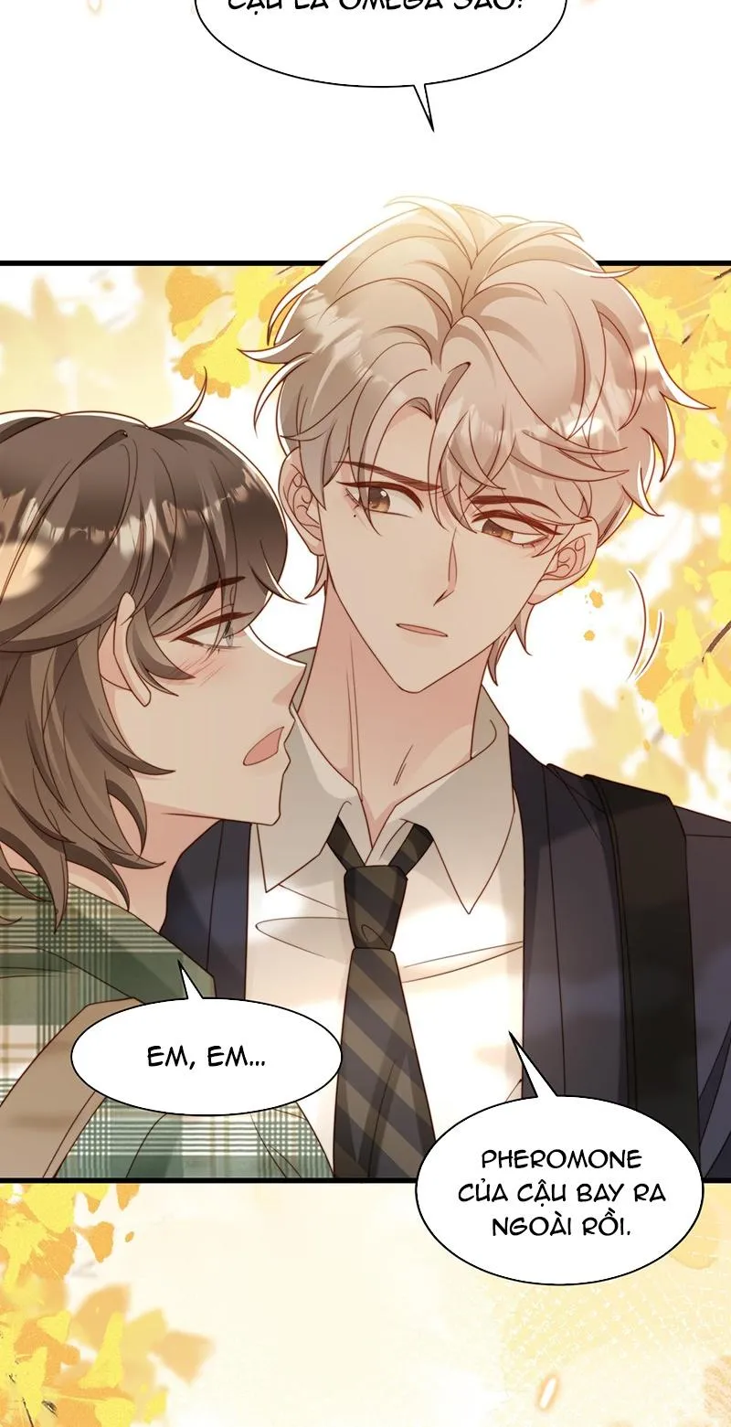 Sau khi giả mất trí nhớ, tình địch nói tôi là bạn trai của hắn Chapter 51 Trang 43