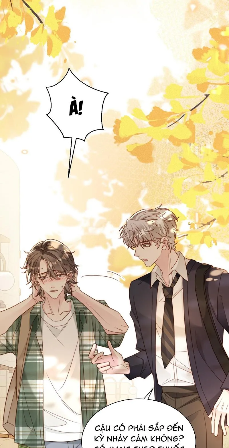 Sau khi giả mất trí nhớ, tình địch nói tôi là bạn trai của hắn Chapter 51 Trang 44