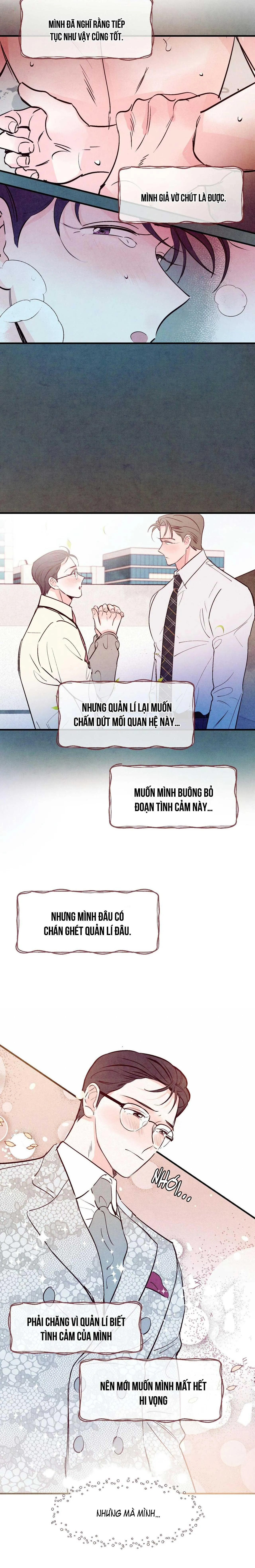 Say Tình Chapter 24 Trang 8