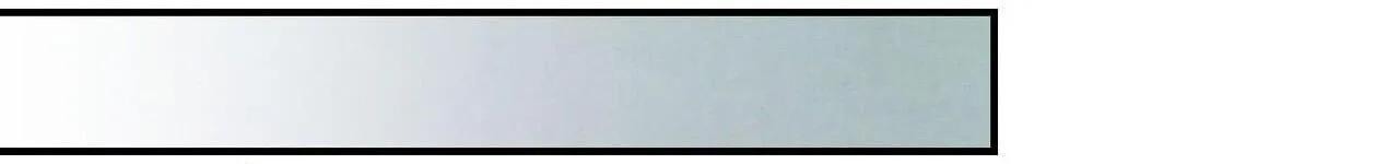 Say Tình Chapter 42 Trang 197