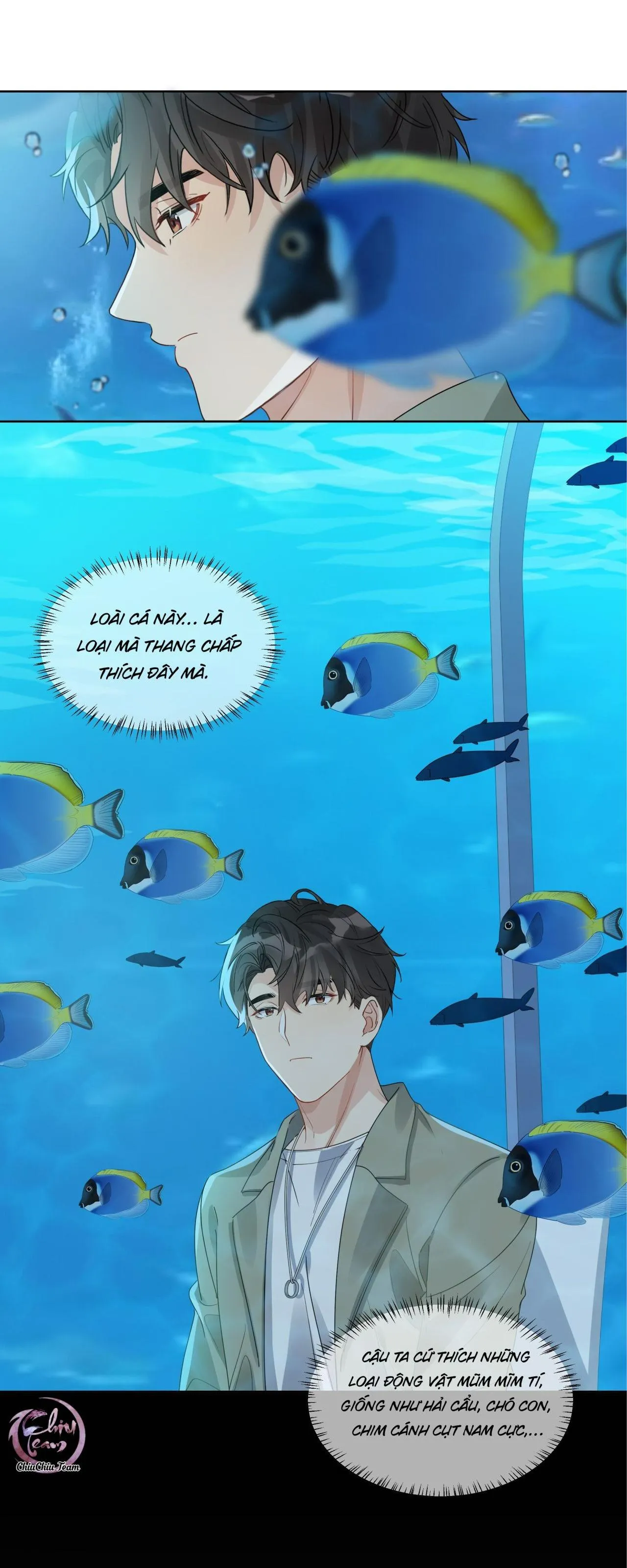 Scandal ngây thơ (END) Chapter 41 Trang 4