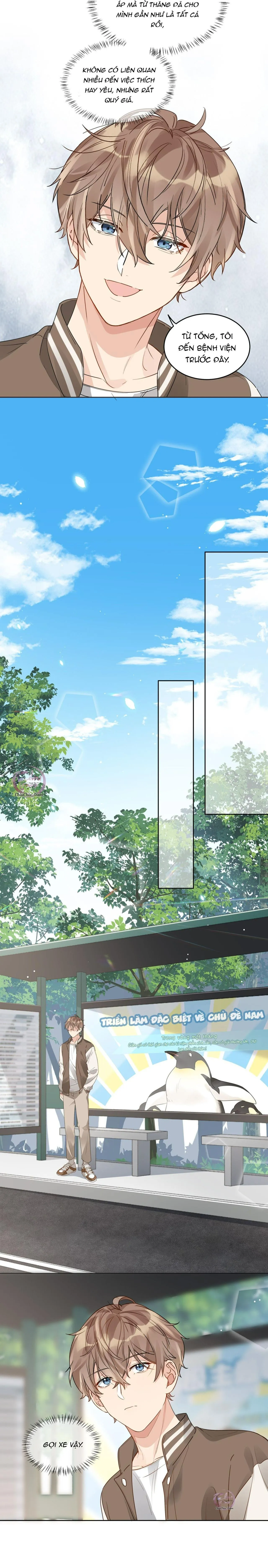 Scandal ngây thơ (END) Chapter 42 Trang 5