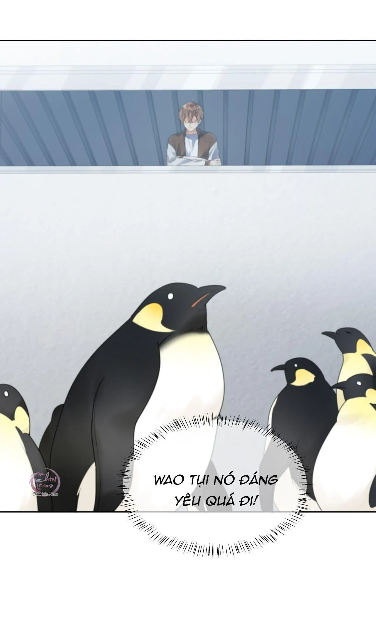 Scandal ngây thơ (END) Chapter 42 Trang 23