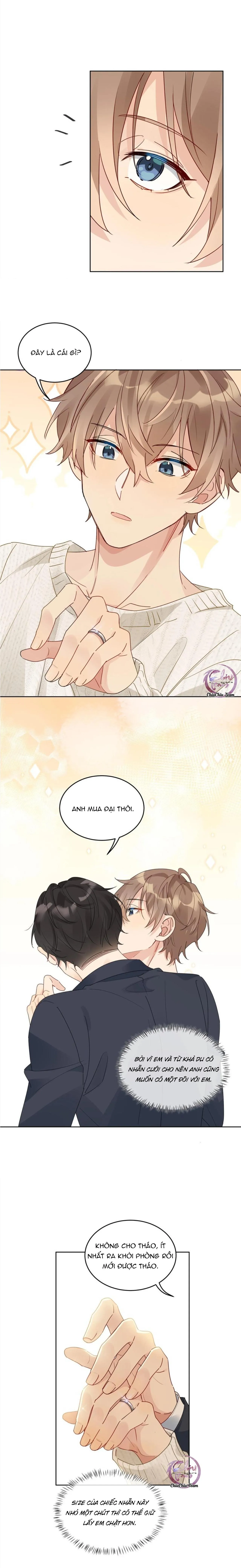 Scandal ngây thơ (END) Chapter 87 Trang 4