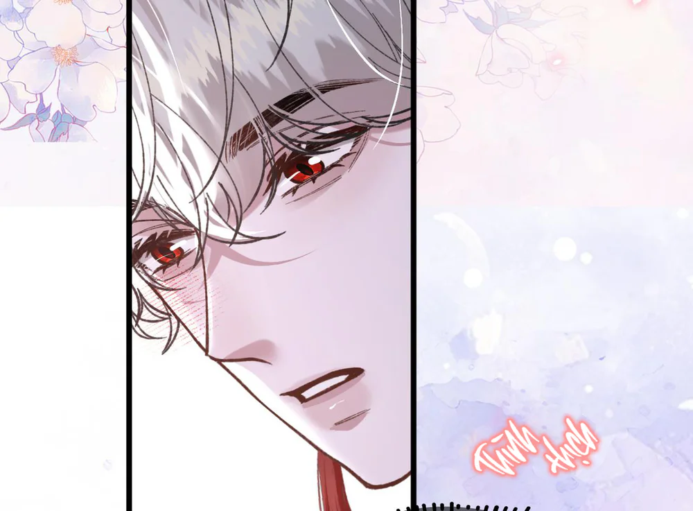 Scandal Vị Tanh Ngọt Chapter 36 Trang 13