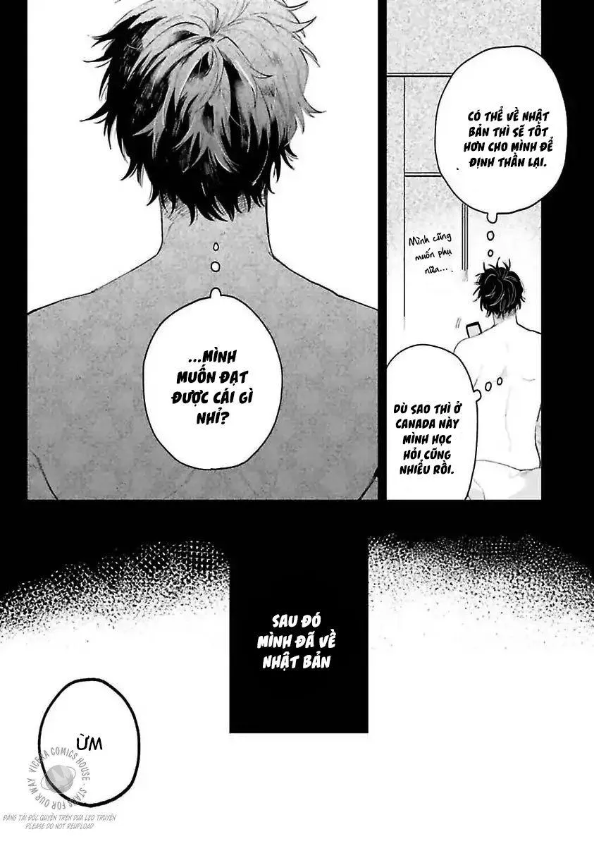 Tình Yêu Tuyệt Đối Với Senpai 1 Chapter 2 Trang 9