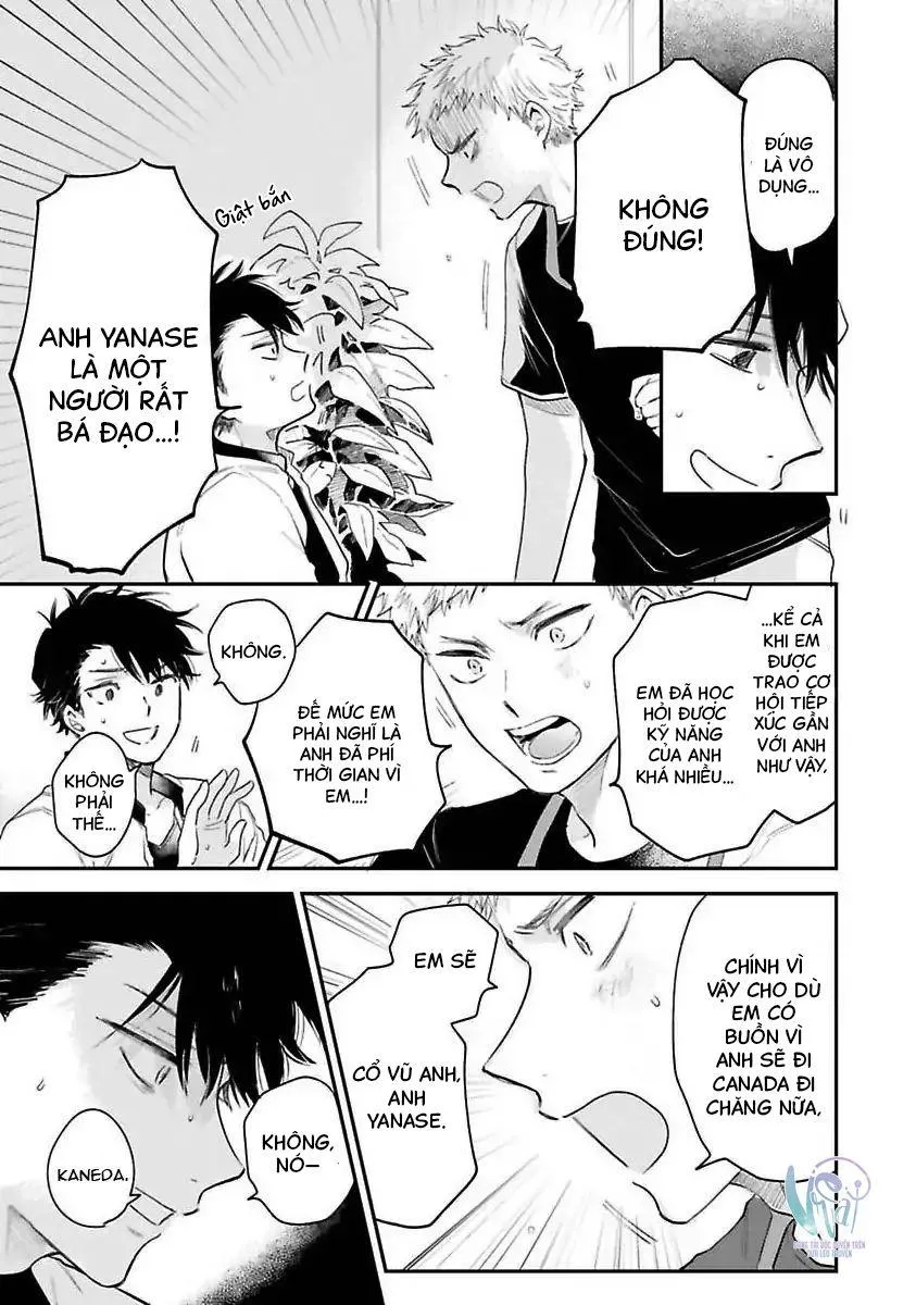 Tình Yêu Tuyệt Đối Với Senpai 1 Chapter 4 Trang 20