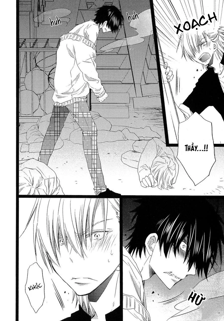 Sensei Punch! Chapter 1 Trang 14