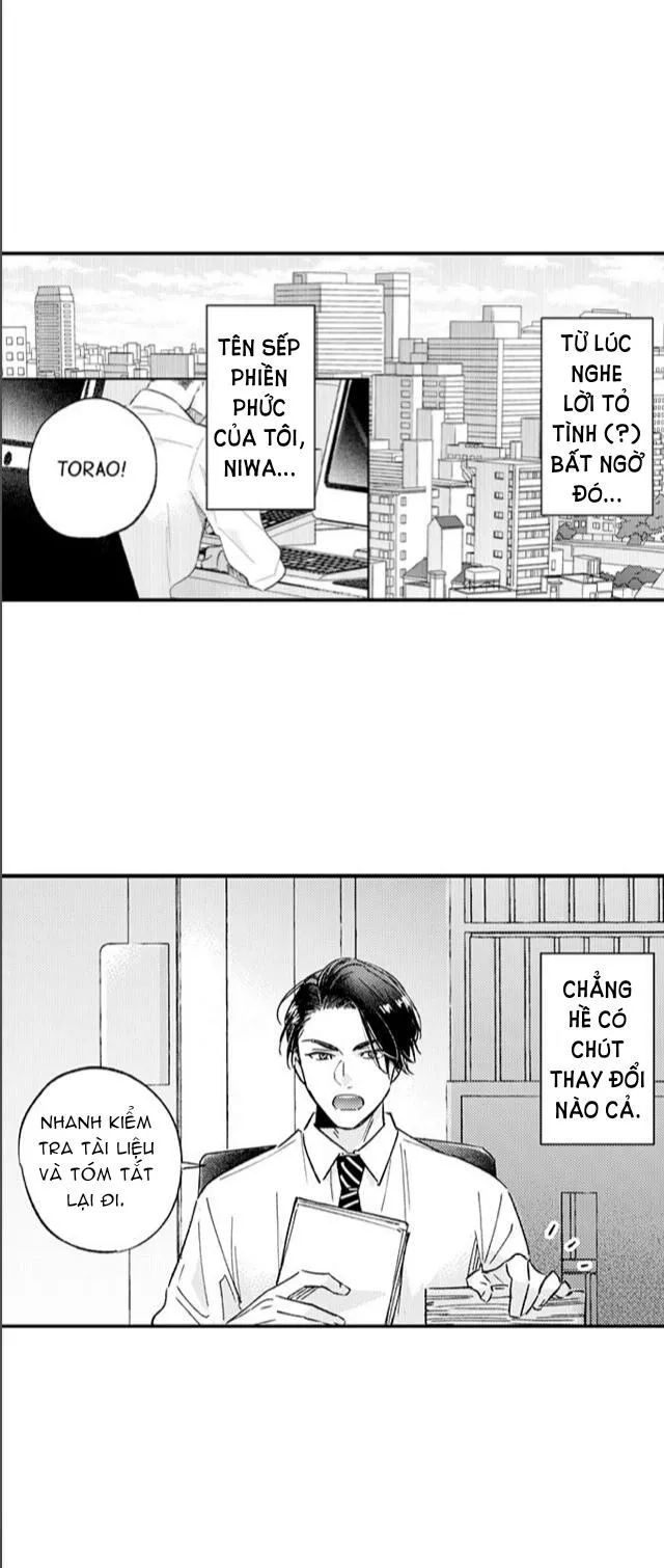 Tên Sếp Phiền Phức Của Tôi Quá Sexy Chapter 4 Trang 4