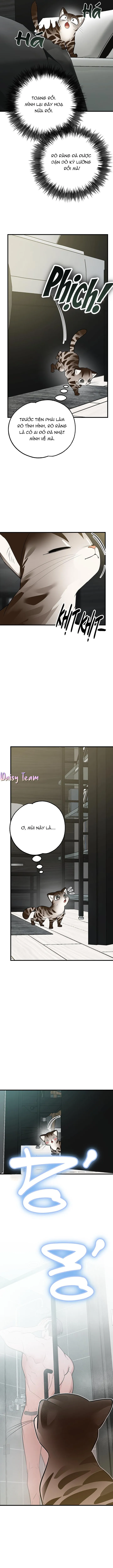 Sinh mèo con cho tôi mau trước khi thằng này điên lên Chapter 2 Trang 3